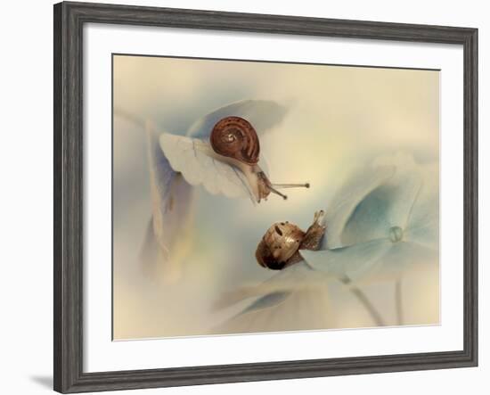 Snails-Ellen Van-Framed Photographic Print