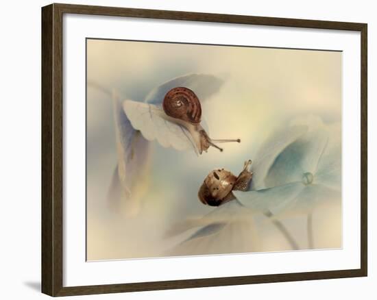 Snails-Ellen Van-Framed Photographic Print