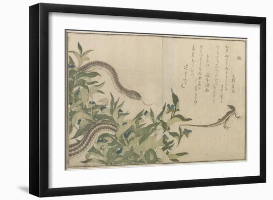 Snake and Lizard, 1788-Kitagawa Utamaro-Framed Giclee Print