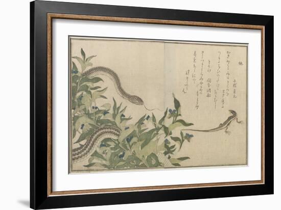 Snake and Lizard, 1788-Kitagawa Utamaro-Framed Giclee Print