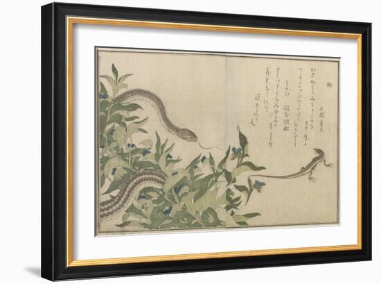 Snake and Lizard, 1788-Kitagawa Utamaro-Framed Giclee Print