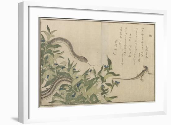 Snake and Lizard, 1788-Kitagawa Utamaro-Framed Giclee Print