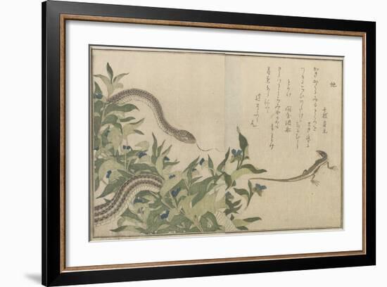 Snake and Lizard, 1788-Kitagawa Utamaro-Framed Giclee Print