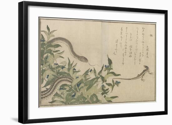 Snake and Lizard, 1788-Kitagawa Utamaro-Framed Giclee Print