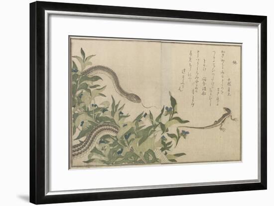 Snake and Lizard, 1788-Kitagawa Utamaro-Framed Giclee Print