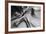 Snake Canyon-Moises Levy-Framed Photographic Print