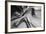 Snake Canyon-Moises Levy-Framed Photographic Print