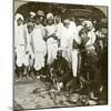 Snake Charmer, Calcutta, India, C1900s-Underwood & Underwood-Mounted Photographic Print