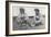 Snake Charming in Cawnpore, January 1912-English Photographer-Framed Photographic Print