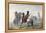 Snake Indians, 1837-Alfred Jacob Miller-Framed Premier Image Canvas