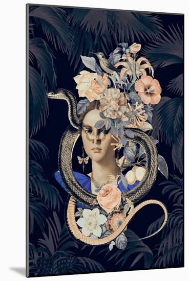 Snake Princess 2-Andrea Haase-Mounted Giclee Print