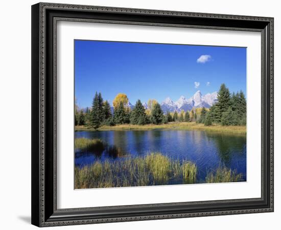Snake River and Autumn Woodland, with Grand Tetons Behind, Grand Teton National Park, Wyoming, USA-Pete Cairns-Framed Photographic Print