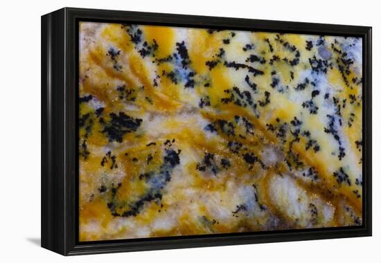 Snake River Dendritic Agate-Darrell Gulin-Framed Premier Image Canvas