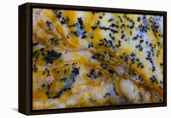 Snake River Dendritic Agate-Darrell Gulin-Framed Premier Image Canvas