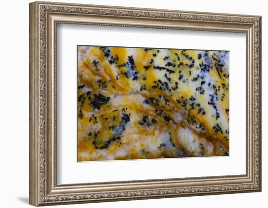 Snake River Dendritic Agate-Darrell Gulin-Framed Photographic Print