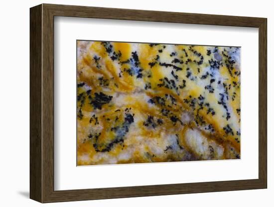 Snake River Dendritic Agate-Darrell Gulin-Framed Photographic Print