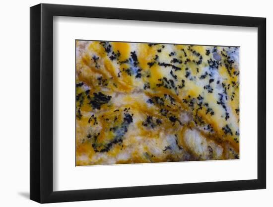 Snake River Dendritic Agate-Darrell Gulin-Framed Photographic Print