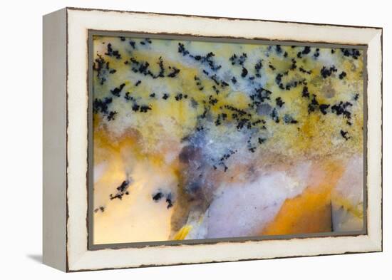 Snake River Dendritic Agate-Darrell Gulin-Framed Premier Image Canvas