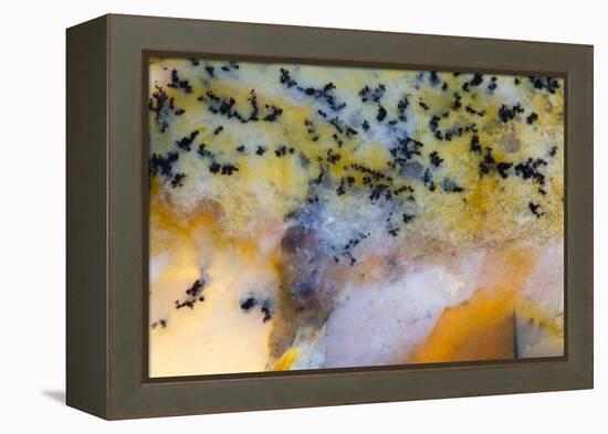 Snake River Dendritic Agate-Darrell Gulin-Framed Premier Image Canvas