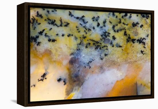 Snake River Dendritic Agate-Darrell Gulin-Framed Premier Image Canvas