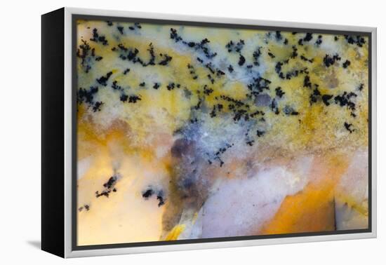 Snake River Dendritic Agate-Darrell Gulin-Framed Premier Image Canvas