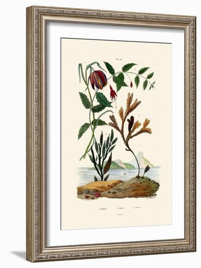 Snake's Head Fritillary, 1833-39-null-Framed Giclee Print