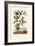 Snake's Head Fritillary, 1833-39-null-Framed Giclee Print