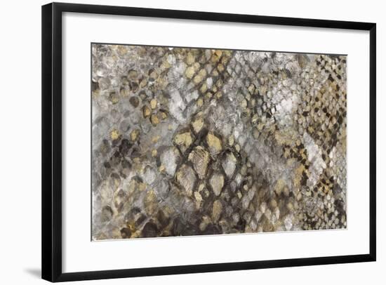 Snake Skin-PI Studio-Framed Art Print