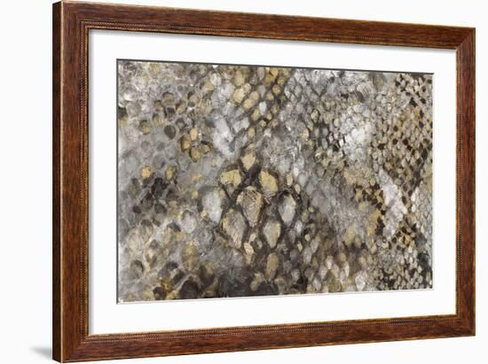 Snake Skin-PI Studio-Framed Art Print