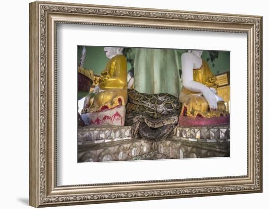 Snake Temple (Mwe Paya) Between Dalah and Twante, across the River from Yangon, Myanmar (Burma)-Matthew Williams-Ellis-Framed Photographic Print