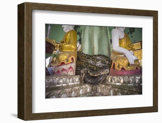 Snake Temple (Mwe Paya) Between Dalah and Twante, across the River from Yangon, Myanmar (Burma)-Matthew Williams-Ellis-Framed Photographic Print