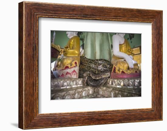 Snake Temple (Mwe Paya) Between Dalah and Twante, across the River from Yangon, Myanmar (Burma)-Matthew Williams-Ellis-Framed Photographic Print