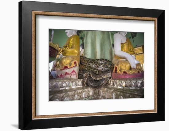 Snake Temple (Mwe Paya) Between Dalah and Twante, across the River from Yangon, Myanmar (Burma)-Matthew Williams-Ellis-Framed Photographic Print