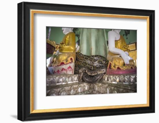 Snake Temple (Mwe Paya) Between Dalah and Twante, across the River from Yangon, Myanmar (Burma)-Matthew Williams-Ellis-Framed Photographic Print