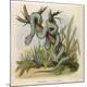 Premium Giclee Print