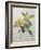 Snake Vine, Dillenia or Guinea Flower-Pierre-Joseph Redoute-Framed Art Print