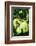 Snake-null-Framed Photographic Print