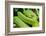 Snake-null-Framed Photographic Print