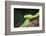 Snake-null-Framed Photographic Print