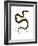 Snake-null-Framed Giclee Print