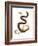 Snake-null-Framed Giclee Print