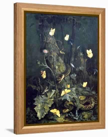 Snakes and Butterflies, 1670 (Oil on Canvas)-Otto Marseus Van Schrieck-Framed Premier Image Canvas