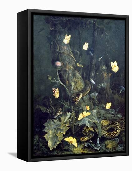 Snakes and Butterflies, 1670 (Oil on Canvas)-Otto Marseus Van Schrieck-Framed Premier Image Canvas