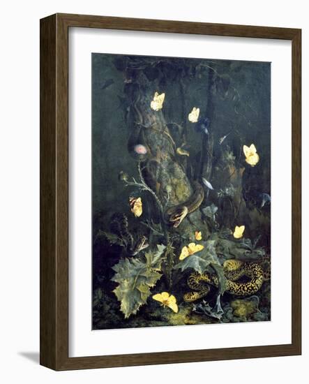 Snakes and Butterflies, 1670 (Oil on Canvas)-Otto Marseus Van Schrieck-Framed Giclee Print