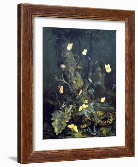 Snakes and Butterflies, 1670 (Oil on Canvas)-Otto Marseus Van Schrieck-Framed Giclee Print