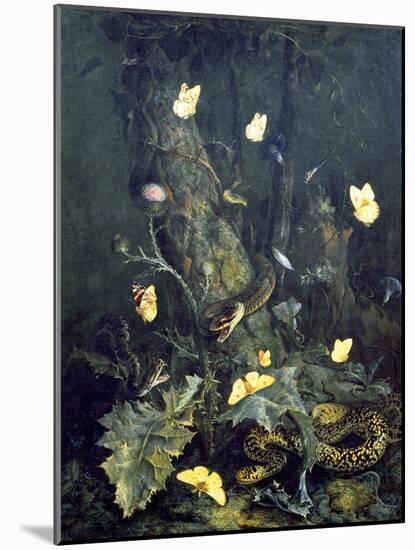 Snakes and Butterflies, 1670 (Oil on Canvas)-Otto Marseus Van Schrieck-Mounted Giclee Print