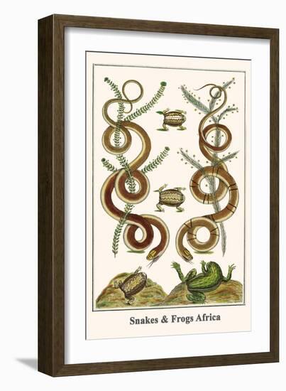 Snakes and Frogs Africa-Albertus Seba-Framed Art Print