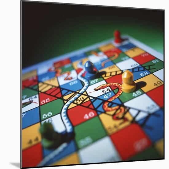 Snakes And Ladders-Tek Image-Mounted Premium Photographic Print