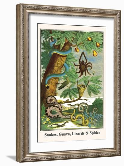 Snakes, Guava, Lizards and Spider-Albertus Seba-Framed Art Print