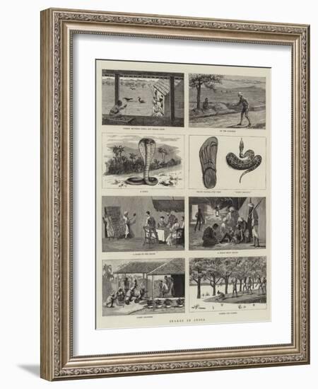 Snakes in India-null-Framed Giclee Print